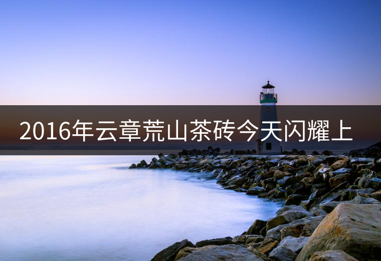 2016年云章荒山茶磚今天閃耀上市！