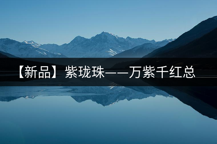 【新品】紫瓏珠——萬紫千紅總為秋