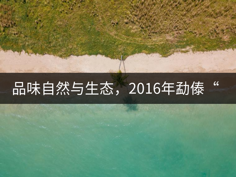 品味自然與生態(tài)，2016年勐傣“大雪山古樹(shù)茶”