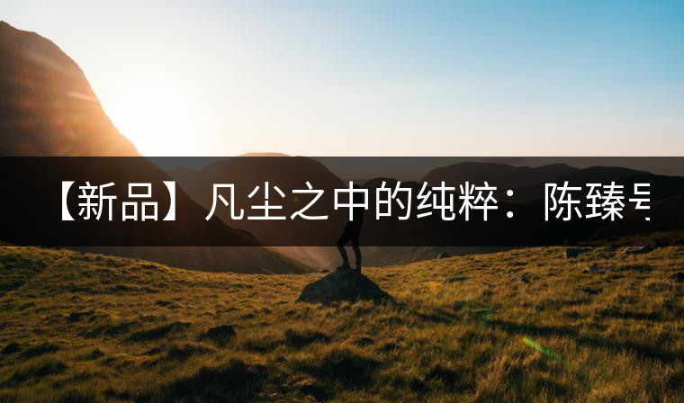 【新品】凡塵之中的純粹：陳臻號2016年精品青餅即將上市！