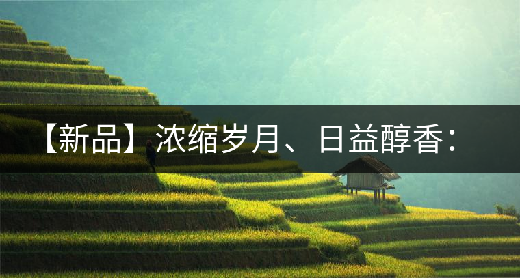 【新品】濃縮歲月、日益醇香：陳臻號(hào)陳品熟餅即將上市！