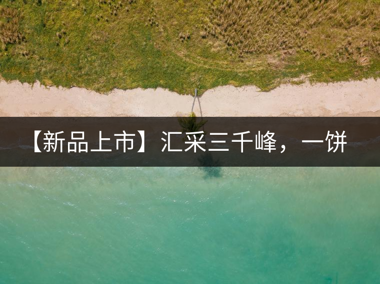 【新品上市】匯采三千峰，一餅群山鑄——群峰之峻！