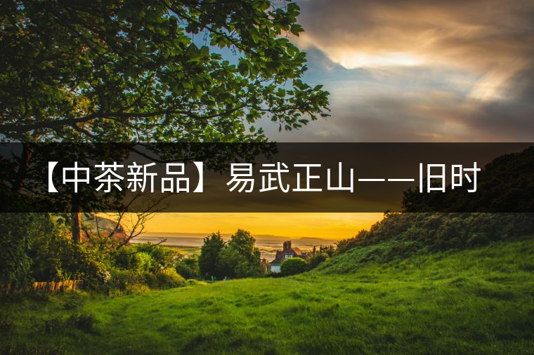 【中茶新品】易武正山——舊時難得茗中瑞品