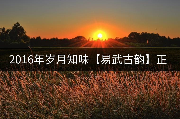 2016年歲月知味【易武古韻】正式上市