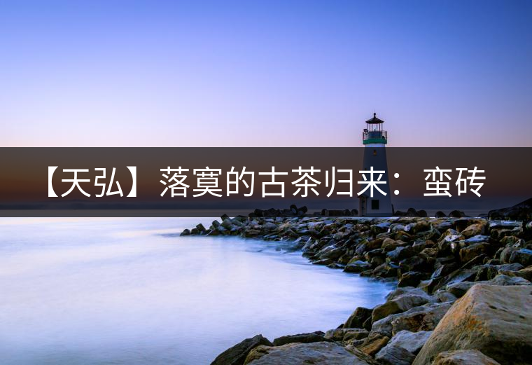 【天弘】落寞的古茶歸來：蠻磚古茶全面上市！