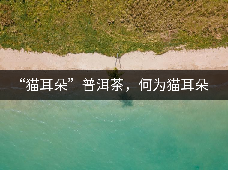 “貓耳朵”普洱茶，何為貓耳朵？