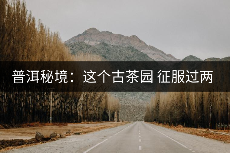 普洱秘境:這個(gè)古茶園 征服過兩任皇帝 普洱秘境:這個(gè)古茶園 征服過兩任皇帝