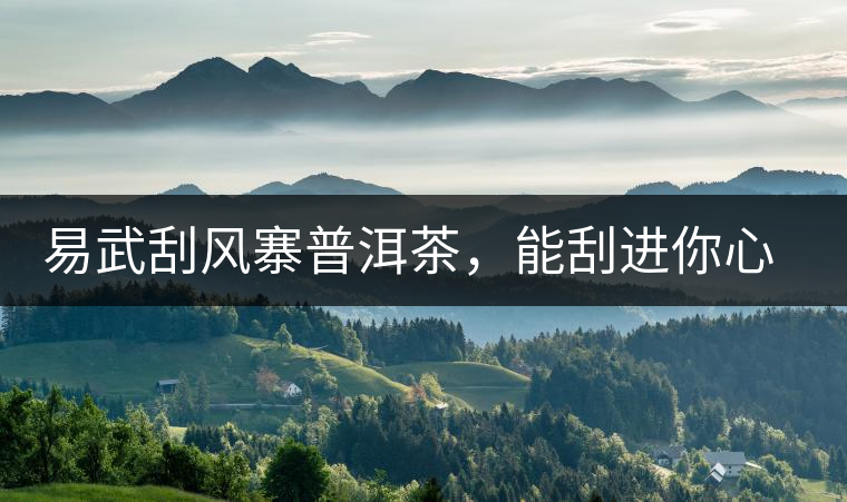 易武刮風(fēng)寨普洱茶，能刮進(jìn)你心中的一道風(fēng)