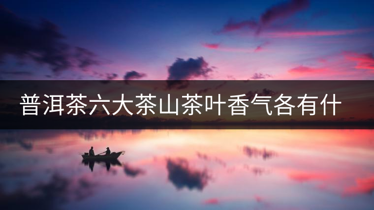 普洱茶六大茶山茶葉香氣各有什么特點(diǎn)？