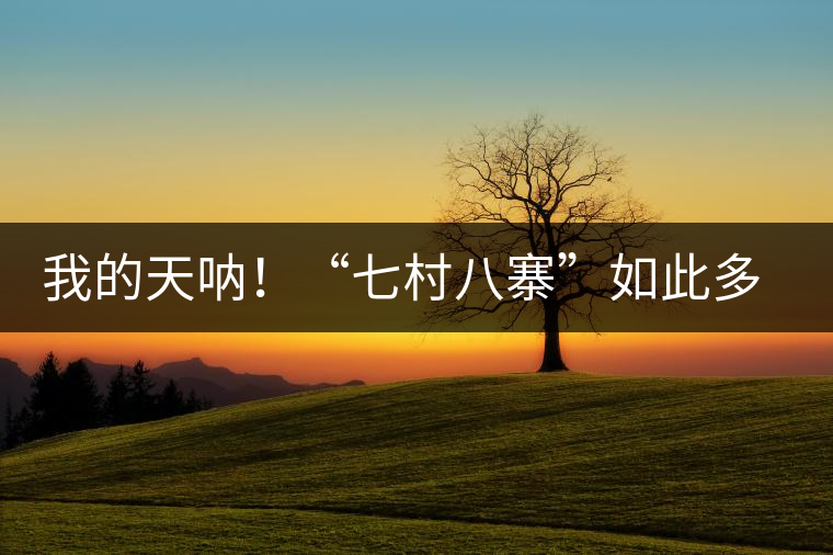 我的天吶！“七村八寨”如此多的易武茶，品質(zhì)特色如何分辨？