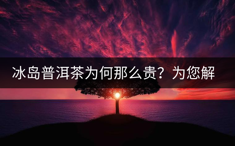 冰島普洱茶為何那么貴？為您解析其中的原由
