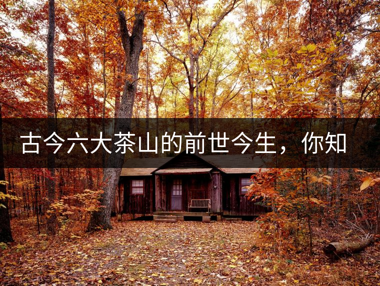 古今六大茶山的前世今生，你知多少？