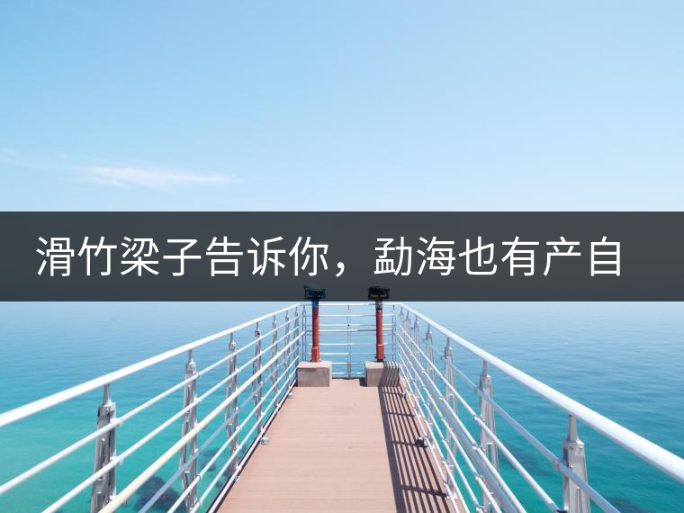 滑竹梁子告訴你，勐海也有產(chǎn)自國有林里的好茶！