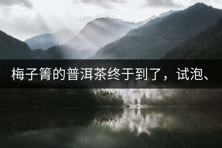 梅子箐的普洱茶終于到了，試泡、、、