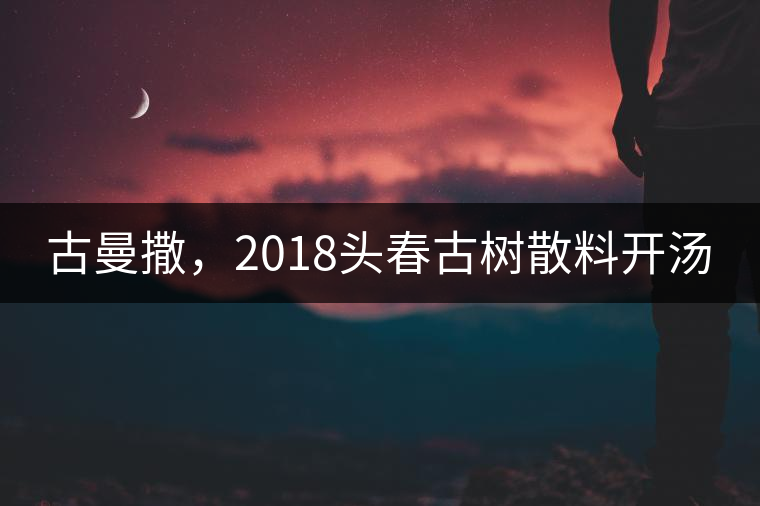 古曼撒，2018頭春古樹散料開湯