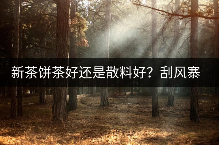 新茶餅茶好還是散料好？刮風(fēng)寨開湯評(píng)測(cè)