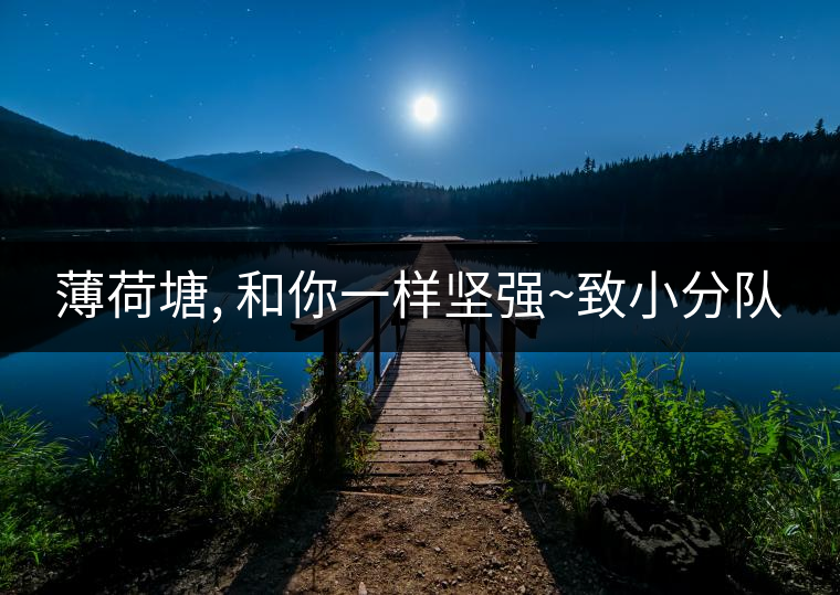 薄荷塘, 和你一樣堅(jiān)強(qiáng)~致小分隊(duì)