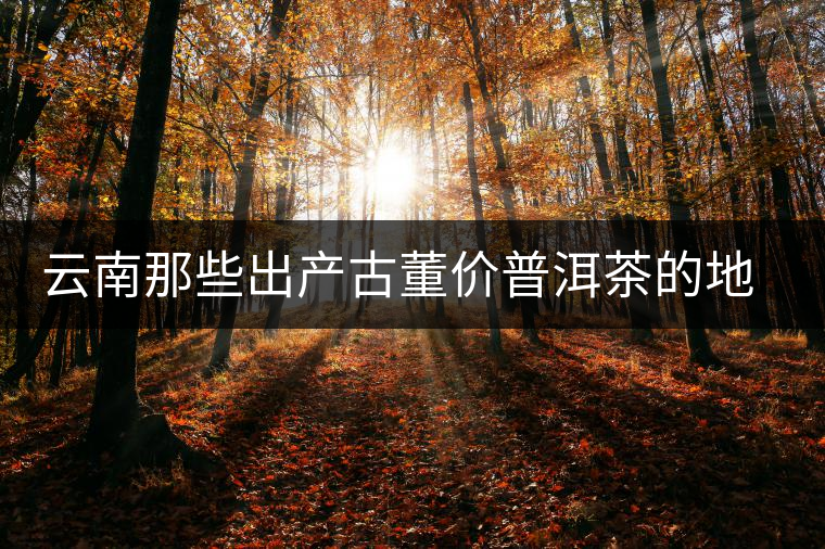 云南那些出產(chǎn)古董價(jià)普洱茶的地方，風(fēng)景如畫！