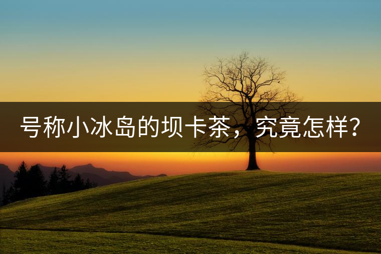 號稱小冰島的壩卡茶，究竟怎樣？