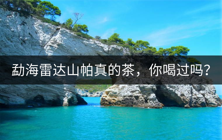 勐海雷達(dá)山帕真的茶，你喝過嗎？