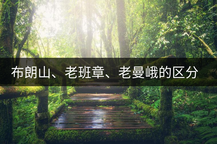 布朗山、老班章、老曼峨的區(qū)分和鑒別