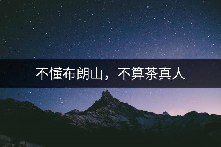 不懂布朗山，不算茶真人