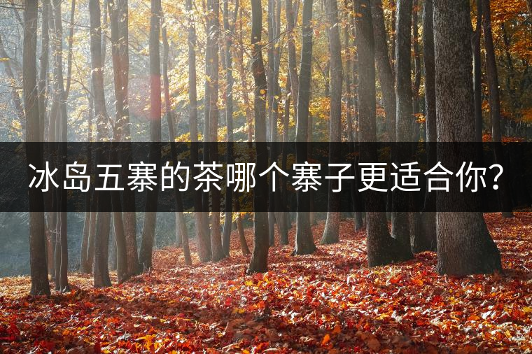 冰島五寨的茶哪個(gè)寨子更適合你？