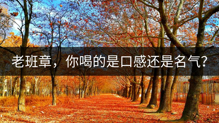 老班章，你喝的是口感還是名氣？