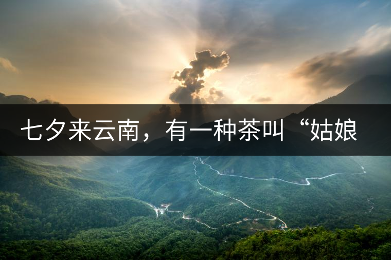 七夕來云南，有一種茶叫“姑娘茶”，也許你就能遇上