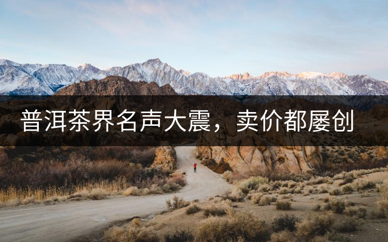 普洱茶界名聲大震，賣價都屢創(chuàng)新高竟然是它