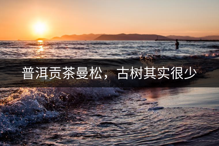 普洱貢茶曼松，古樹其實很少