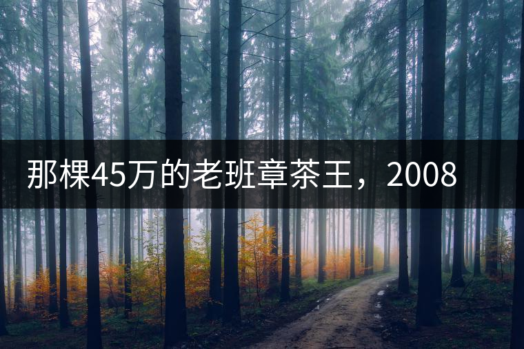 那棵45萬的老班章茶王，2008年是什么樣子的？