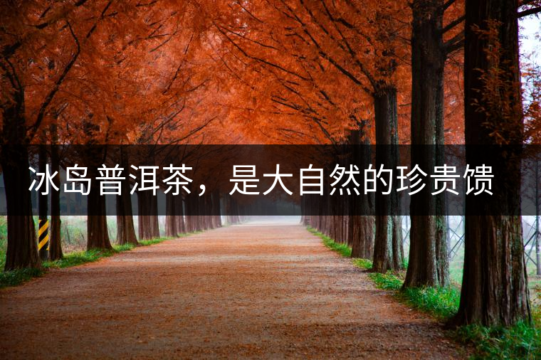 冰島普洱茶，是大自然的珍貴饋贈