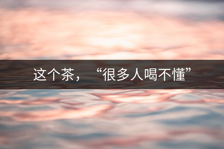 這個茶，“很多人喝不懂”