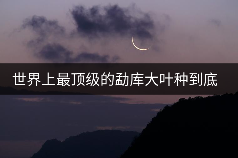 世界上最頂級(jí)的勐庫大葉種到底是什么？這篇文章講透了