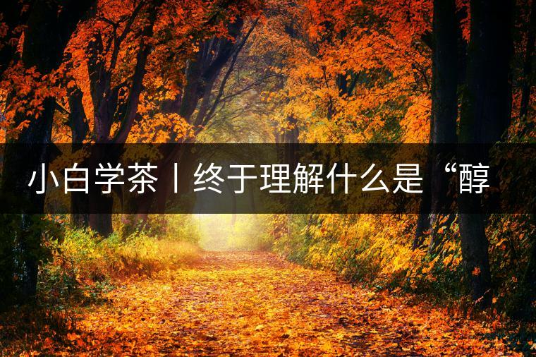 小白學茶丨終于理解什么是“醇厚、耐泡，回甘”了