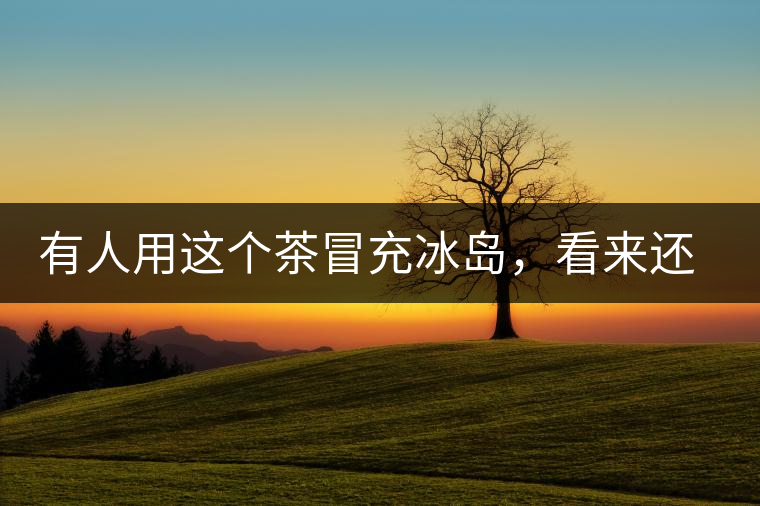 有人用這個(gè)茶冒充冰島，看來(lái)還是有幾分道理