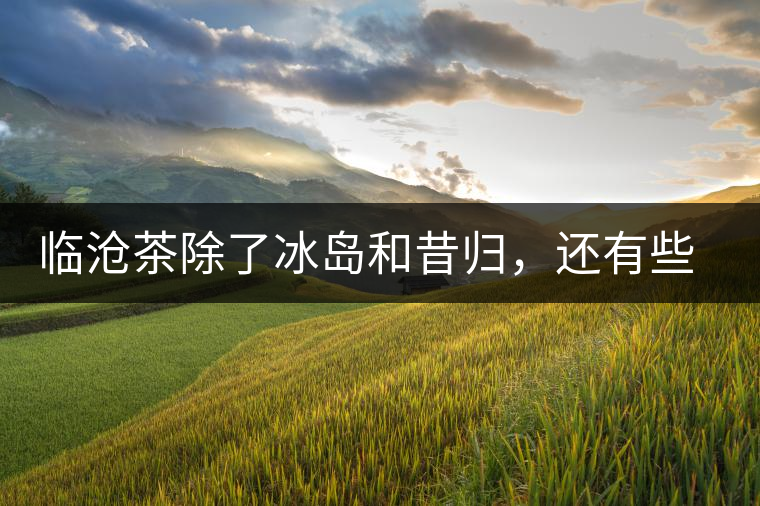 臨滄茶除了冰島和昔歸，還有些什么？