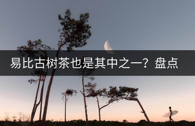 易比古樹茶也是其中之一？盤點(diǎn)當(dāng)下易武最火的十大古樹茶！