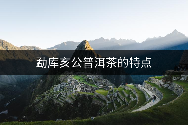 勐庫亥公普洱茶的特點(diǎn) 勐庫亥公普洱茶的特點(diǎn)