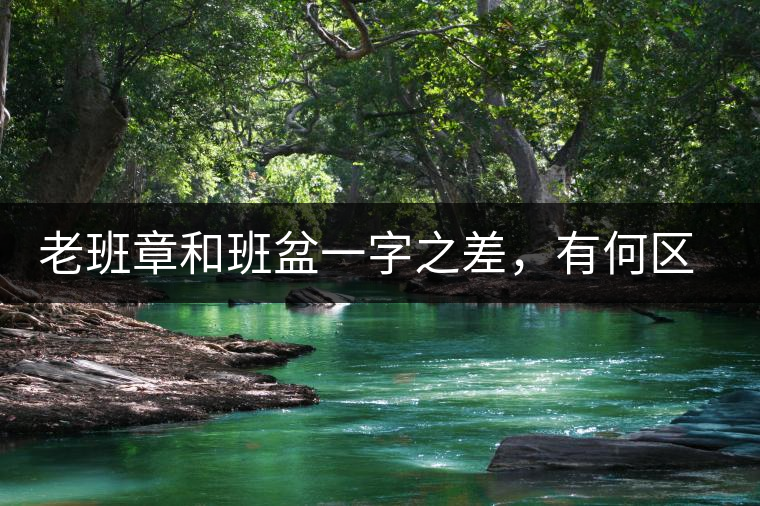 老班章和班盆一字之差，有何區(qū)別