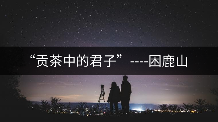 “貢茶中的君子”----困鹿山