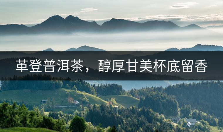 革登普洱茶，醇厚甘美杯底留香