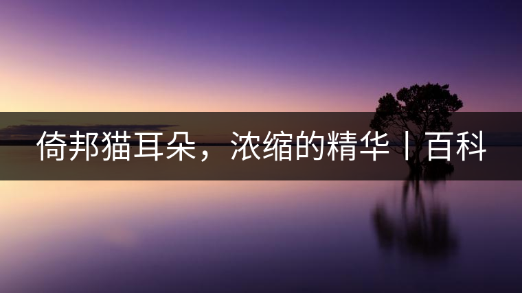 倚邦貓耳朵，濃縮的精華丨百科