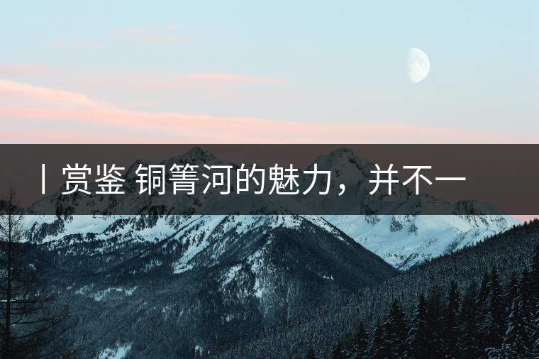 丨賞鑒 銅箐河的魅力，并不一定要古樹來體現(xiàn)