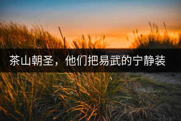 茶山朝圣，他們把易武的寧靜裝進(jìn)心里，卻把成堆垃圾留在