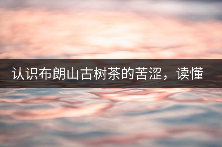 認(rèn)識布朗山古樹茶的苦澀，讀懂勐海普洱茶