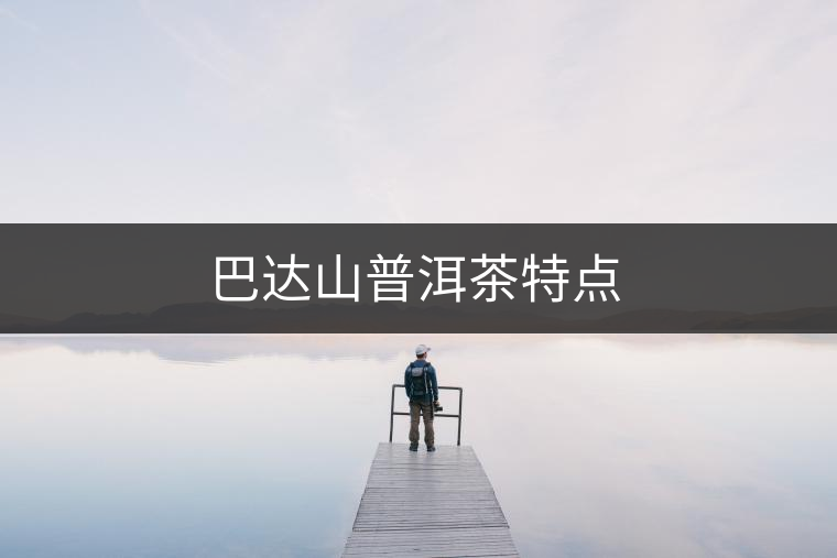 巴達山普洱茶特點 巴達山普洱茶特點