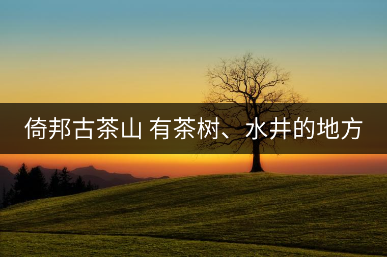 倚邦古茶山 有茶樹、水井的地方