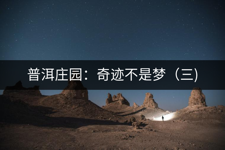 普洱莊園：奇跡不是夢（三)